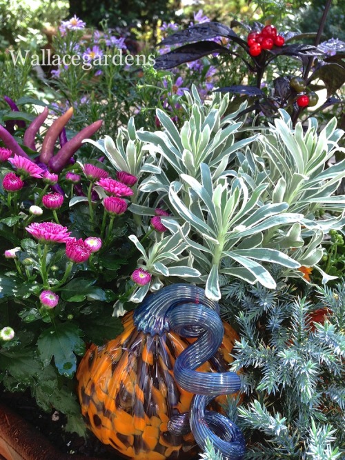 It&rsquo;s the Great Glass Pumpkin Patch, Charlie Brown!  Every autumn I start working on projects f