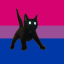 ilmbsmiwc