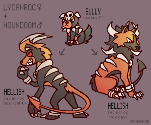 Bully Rockruff are typically more aggressive throughout their growth, rather than only as their evol