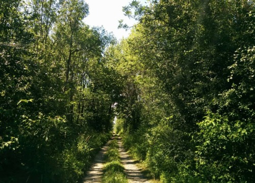 Exploring back roads of Prince Edward County with @kelly_out_n_about today… #canada #explorec