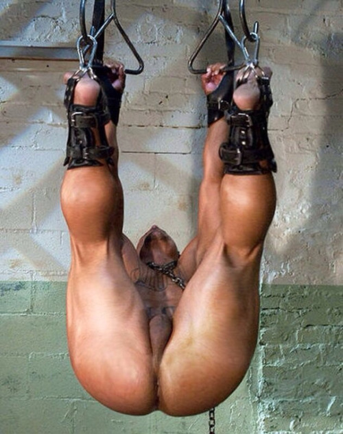 dilfsociety: DILF Society on tumblr.  Now that’s what u call hanging up & out