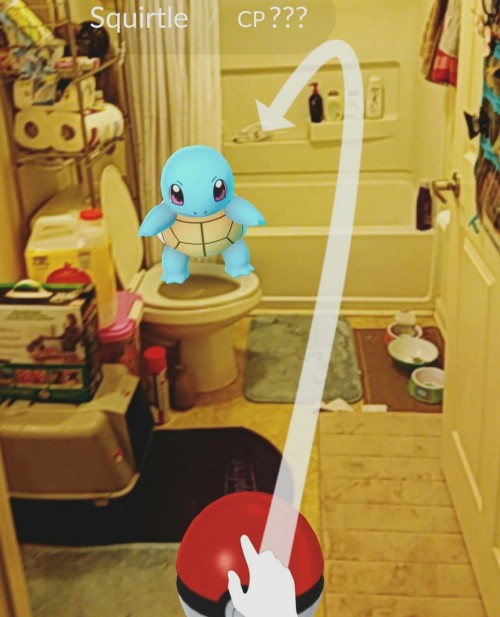 anniephantom:  opened pokemon go for the first time and there was a fucking squirtle straight up in my goddamn toilet i’m so done 