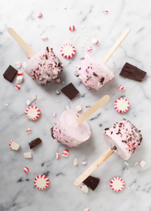 confectionerybliss: Pink Peppermint &amp; Chocolate Popsicles | Posh Little Designs