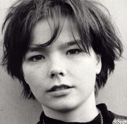 warmthestcord:Björk by Lars Schwander