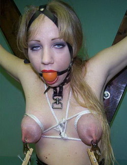 breastbondage.tumblr.com post 70560910585