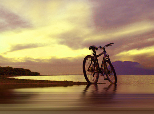 provoquevirtude:  Beauty in Everything - Photography on We Heart It.