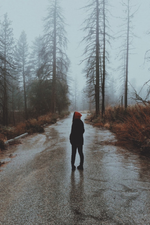 joel:  Untitled