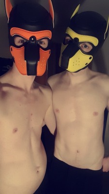 puplucas:  Me and @switchy-joey-pup will be at the ninth annual Manchester Rubber Men festival this weekend ^_^  I’ll be trying to update my Twitter (@puplucas_) and my Snapchat (PupLucas94) with some of the weekends shenanigans if I can!