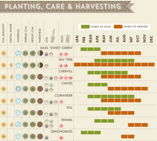 The Herb Growing Cheat Sheet [Infographics]Now we’ve entered spring and the sun is starting to