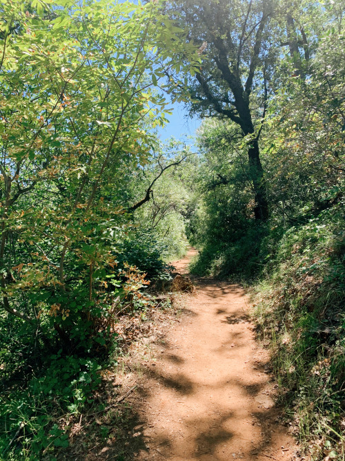 Summer is here in Northern California and it’s a beautiful time to go hiking. We’ve made a big hikin
