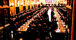 bahtmun:  “It’s true then, what they’re saying on the train. Harry Potter has