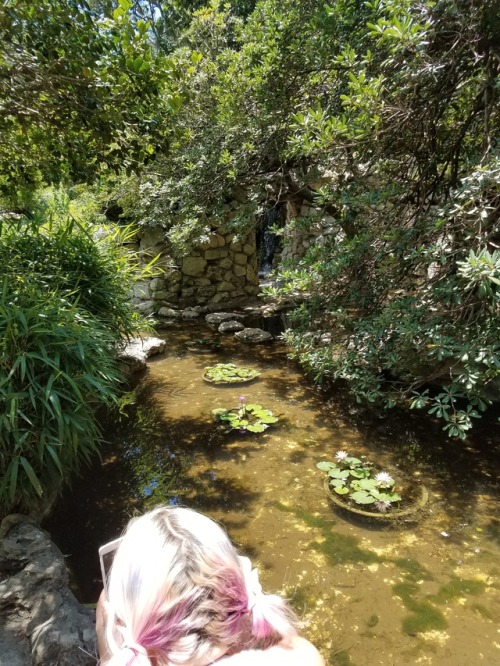 My water fairy, capturing the beauty of nature on our date to the Austin Botanical Gardens. She does