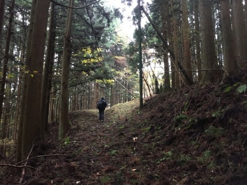 Today I went on a hike in the Koharagi area of the Karakuwa Peninsula, in Kesennuma, Japan!  Thanks,