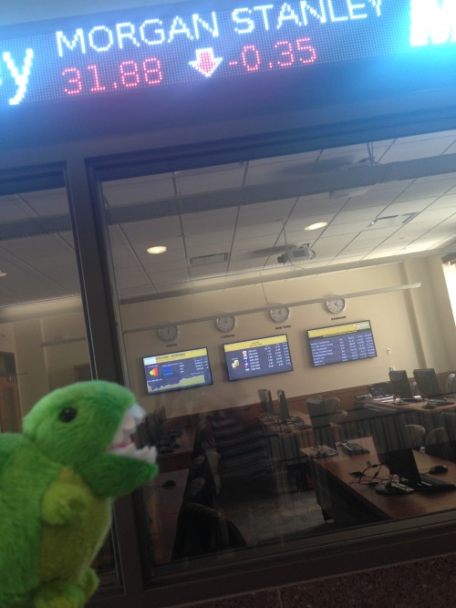 Our friend wanted to see how his stocks were doing, so he made sure to stop by the stock market trade room in Sage Hall.
-Mariah