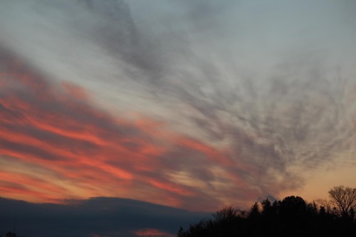 Captured A Beautiful Sky