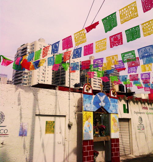 tepitome:Ciudad de Mexico, 2019.