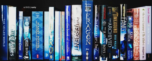 nl93:  rainbow bookshelves // june 12, 2015 