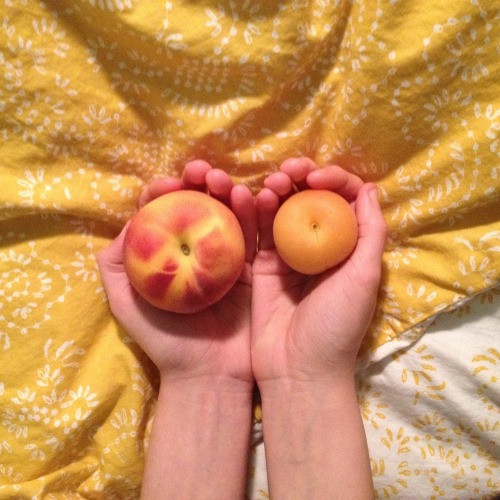 kankhen:01.01.16 – fluffy peach + apricot ✨ both pics taken by my dad! p.s look at those clean wrist