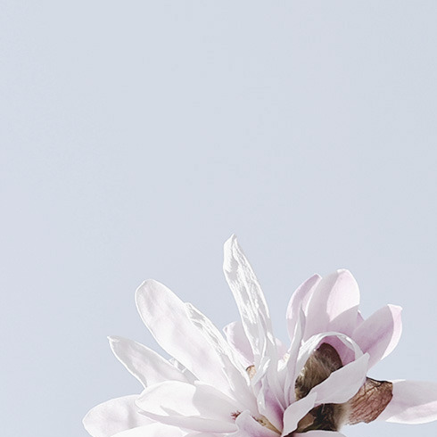sinksadie:archive moodboard for @hermnione ♡ want one?