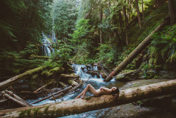 corwinprescott:    “Into the Wild”Gifford Pinchot National Forest, Wa 2016Corwin Prescott - Robin Mae - Full series on Patreon   