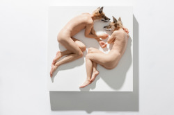 valdesigner:  small-scale realistic sculptures by sam jinks 