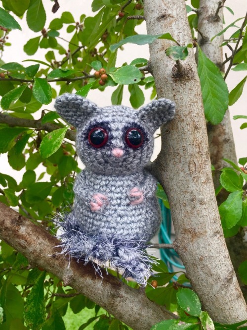 Amigurumi Bushbaby designed and crocheted by me :)