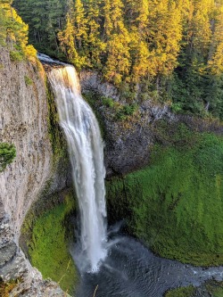 amazinglybeautifulphotography: Salt Creek Falls, Oregon. Had the place to myself! [3024x4032] (OC) - randoliof
