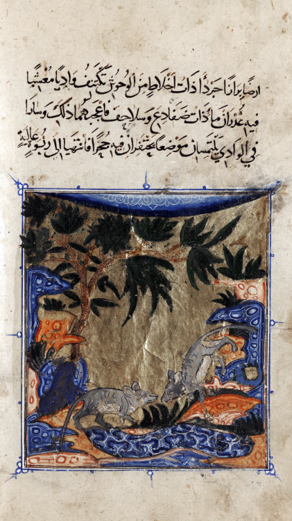 speciesbarocus:Sulwan Al-Muta'a (Consolation of the Prince over the Hostility of his Subjects) (c. 1