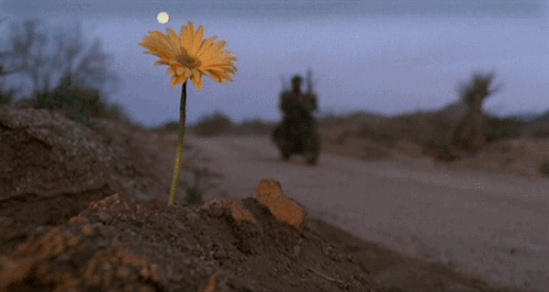 tumblr_p7t4fguPJh1re6c9lo4_r1_500.gif