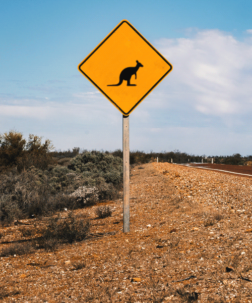 ibmblr:G’day Sunshine!  We’re getting ready for our next tech adventure, this time 