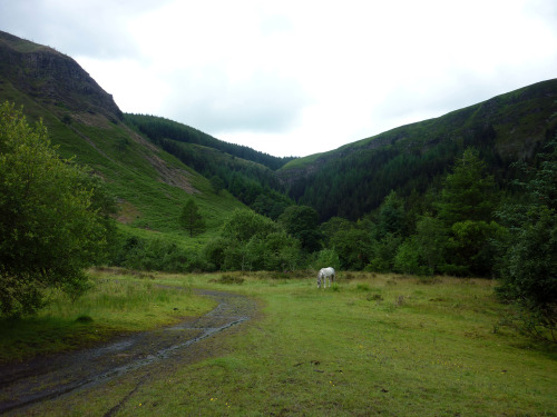 Pen Pych, Cwm Rhondda