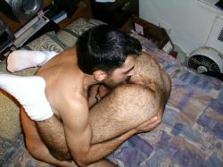 Hairy dads love hairy butts