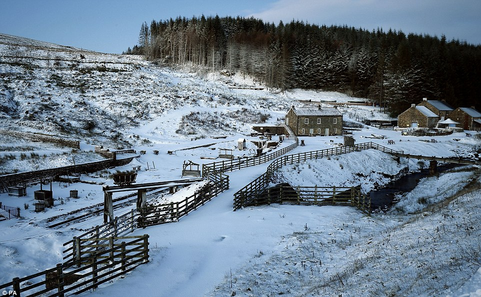 fairfieldfarmer:  