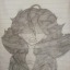 shadow-does-art-things