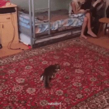 thenatsdorf:  HI-YA! (via pasha051187)