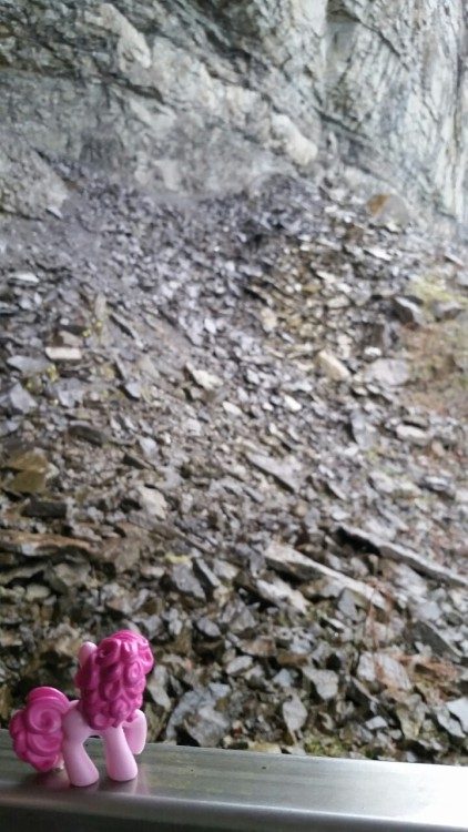 pinkiepiesightings:“I bet Maud would love this talus slope. And check out those strata!”