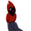captain-cardinal