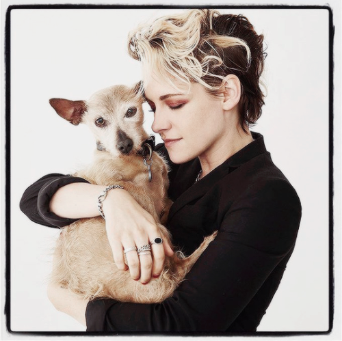 kristenstuwarts:Kristen Stewart and Cali at TIFF 2019 (x)