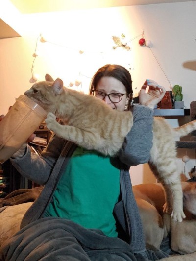 catasters: