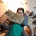 catasters: