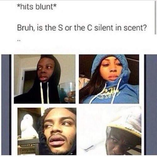 highcheekboneshawty: yung-lipton: These hit the blunts tweets lol omg