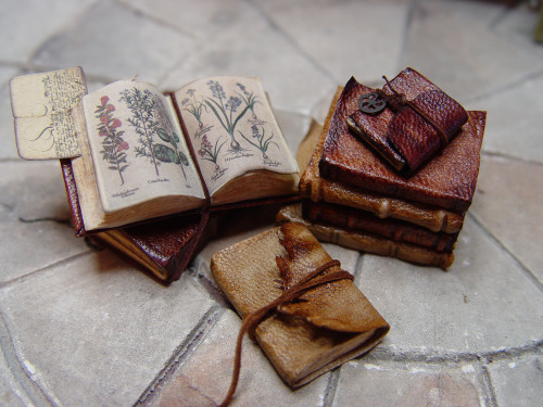 mentalmoth:  These are freaking amazing. There are tons more of these detailed fantasy miniatures on the artist’s website: EV Miniatures 