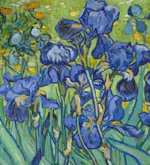 Porn photo malinconie:  Vincent Van Gogh, Iris, 1889