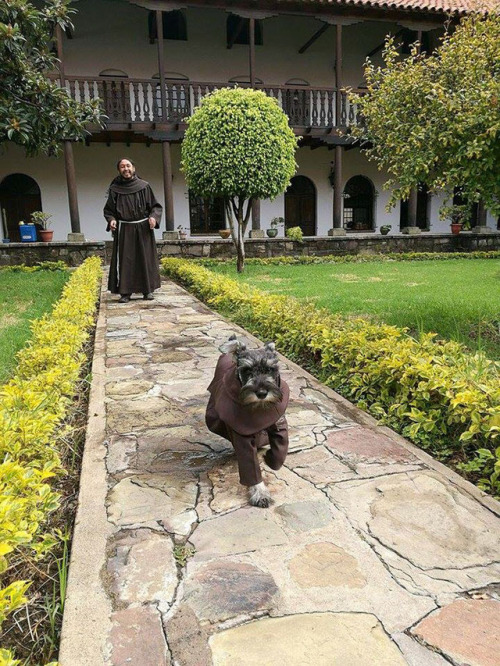 archiemcphee:Meet Friar Bigotón (Friar Moustache), aka Brother Carmelo, once a stray dog, now the fi