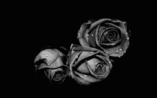 Of all that he owned, only She had his heart.
