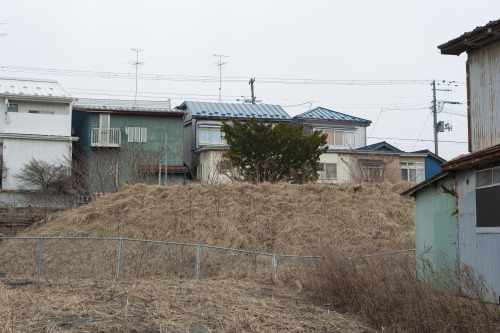 Same. Hachinohe City in Aomori Prefecture八戸市鮫（青森県）MASATOSHI SAKAMOTO : PHOTOGRAPHS