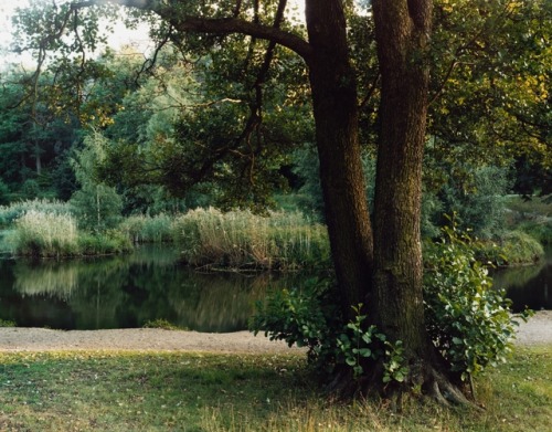 aliov:Anders KrisárHiding the Hidden, 2003