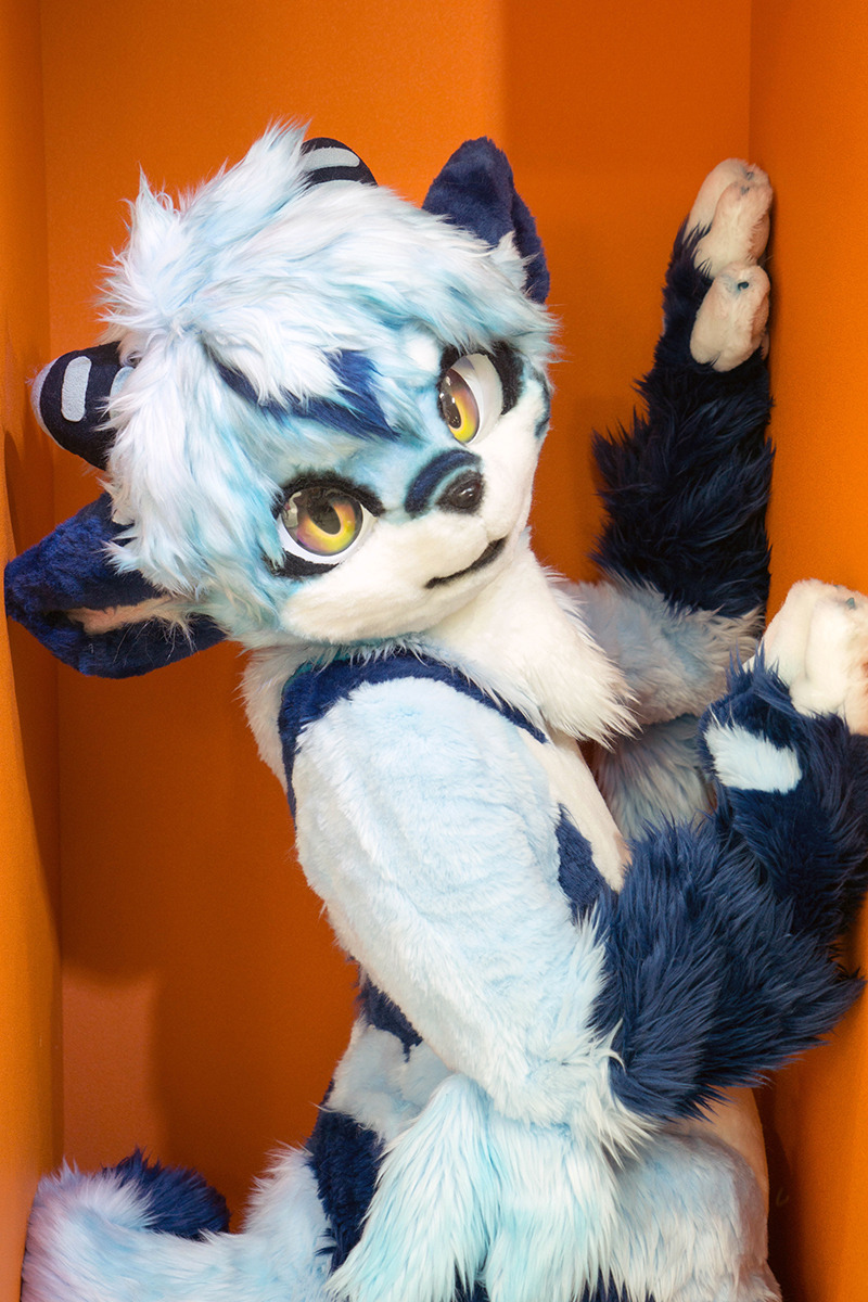 eixin:  20140823 HACOSTADIUM cosset  AAaaughg Cute overload!