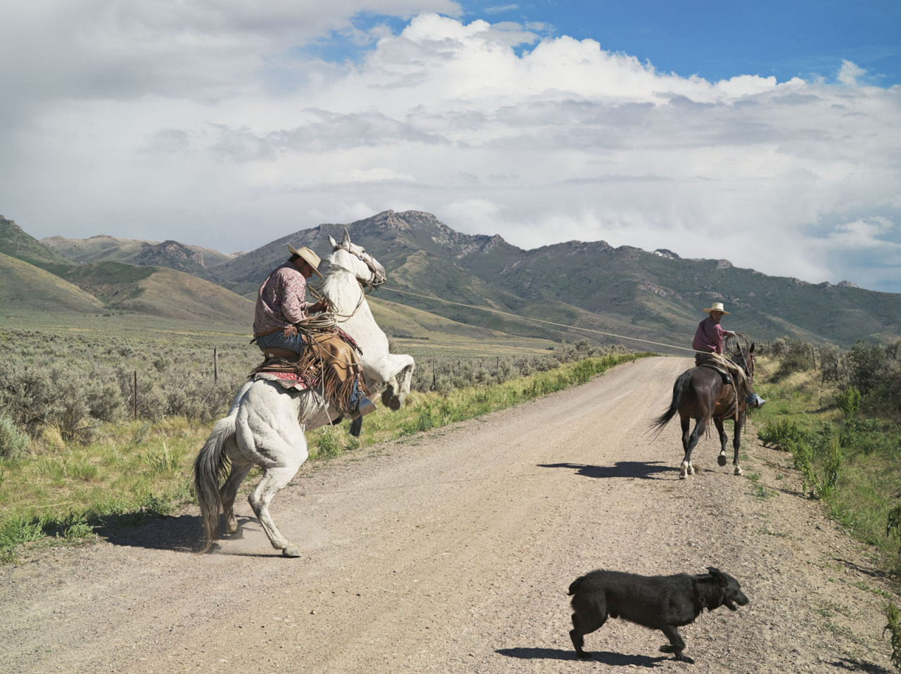 badbananas:  Lucas Foglia 