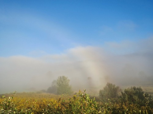 I saw something on the BBC today about someone seeing and photographing a fogbow and that it was “qu